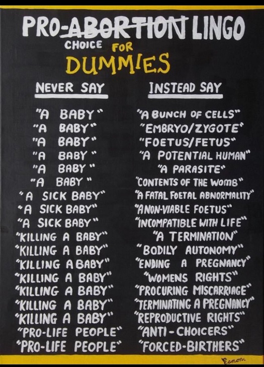 pro abortion lingo for dummies.jpg